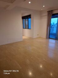Thomson Euro-asia (D11), Condominium #600345481
